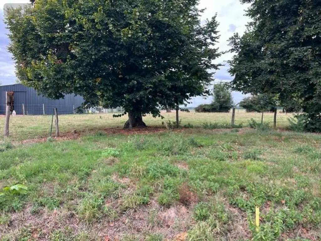 Terrain a batir a vendre Fressin 62140 Pas-de-Calais 62 1152 m2 29000 euros 083/1758 003