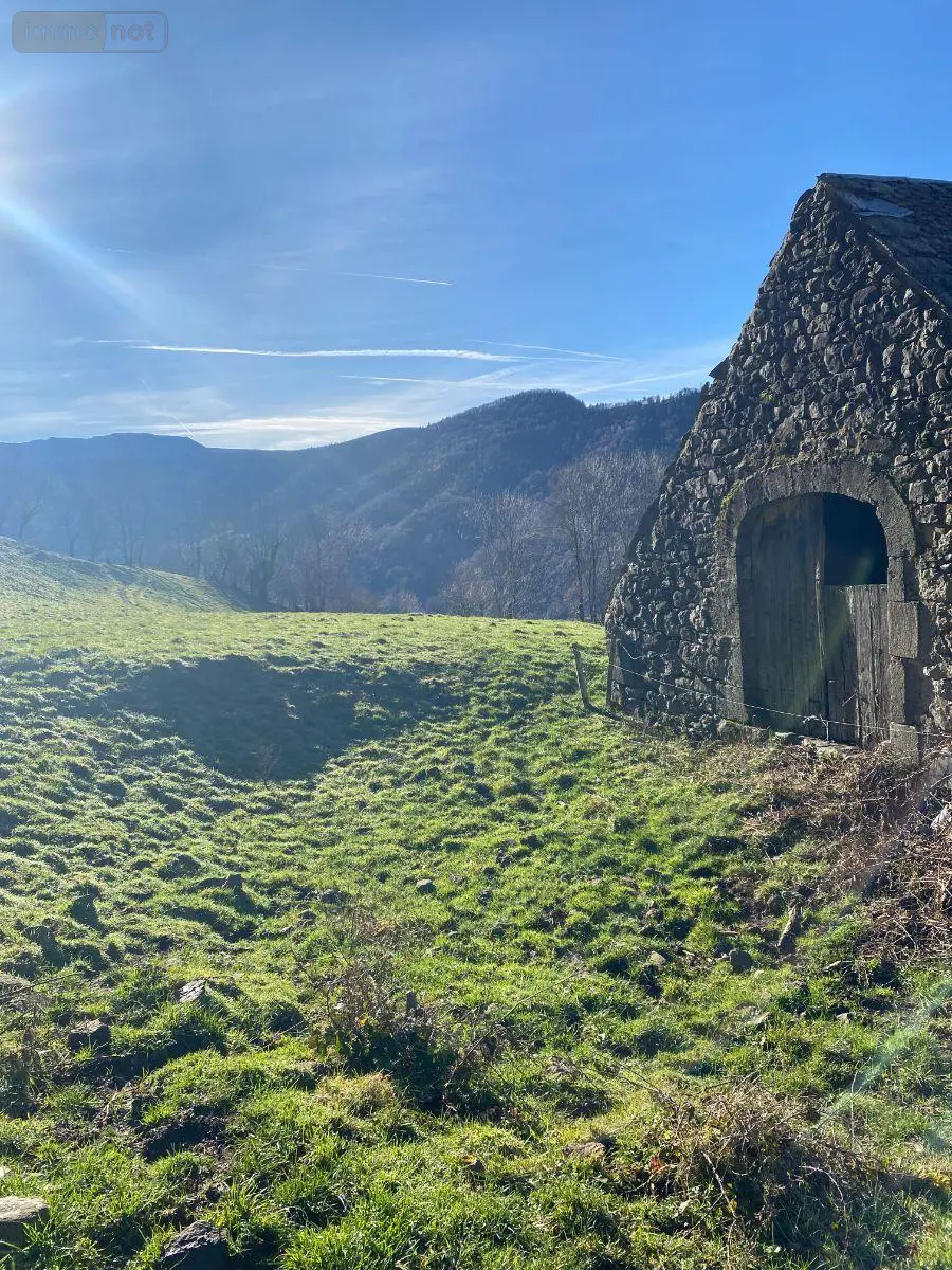 Maison a vendre Le Vaulmier 15380 Cantal 15 300 m2 84800 euros 15060/1188 002