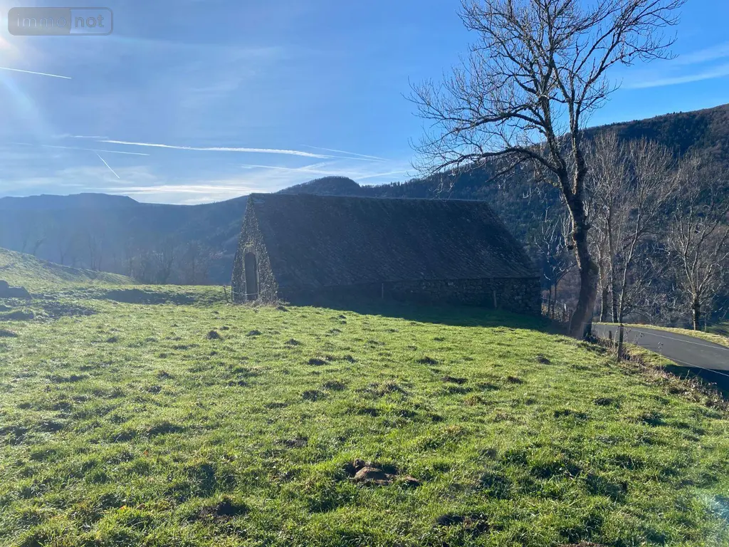 Maison a vendre Le Vaulmier 15380 Cantal 15 300 m2 84800 euros 15060/1188 004