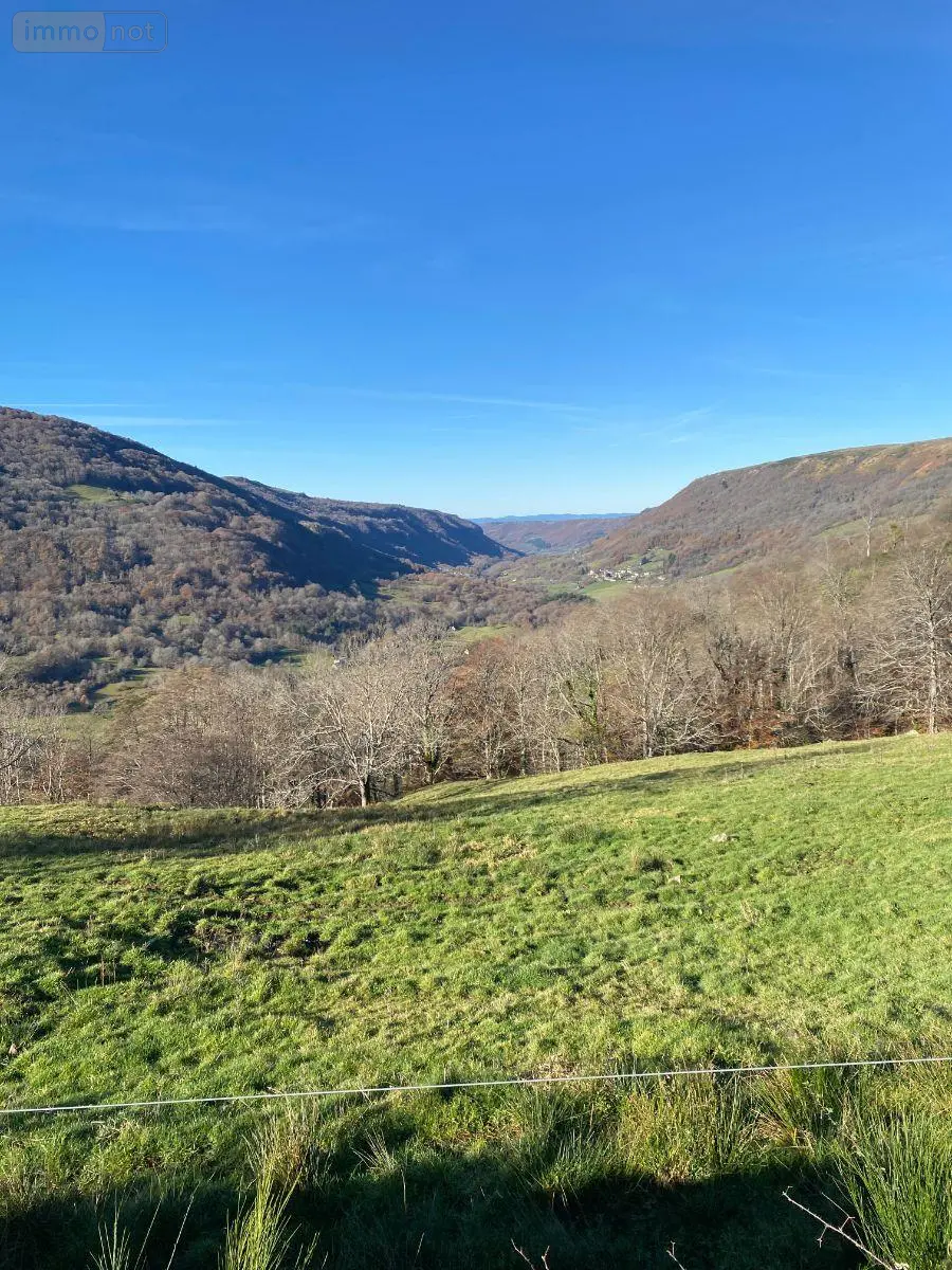 Maison a vendre Le Vaulmier 15380 Cantal 15 300 m2 84800 euros 15060/1188 007