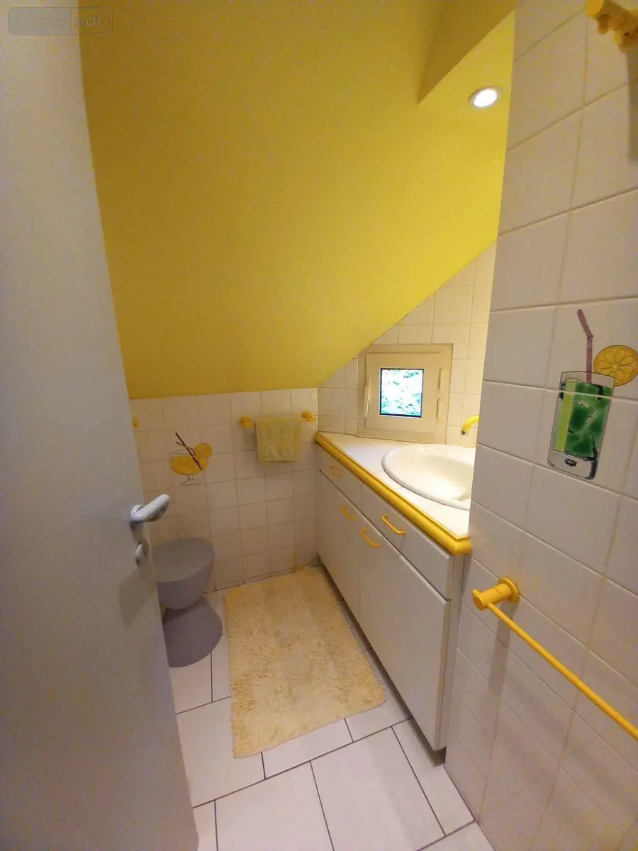 Maison a vendre Murat 15300 Cantal 15 140 m2 439000 euros FG/2297 014