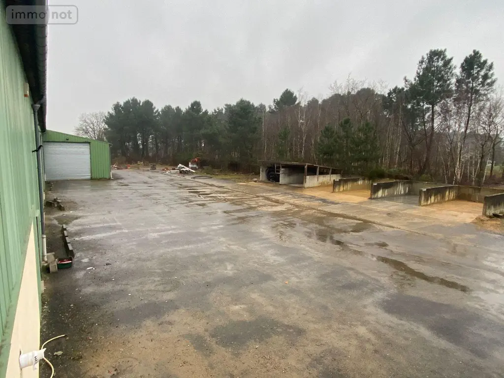 Location fonds et murs commerciaux Le Mans 72000 Sarthe 72 1300 m2 4500 euros 72122-1350 011