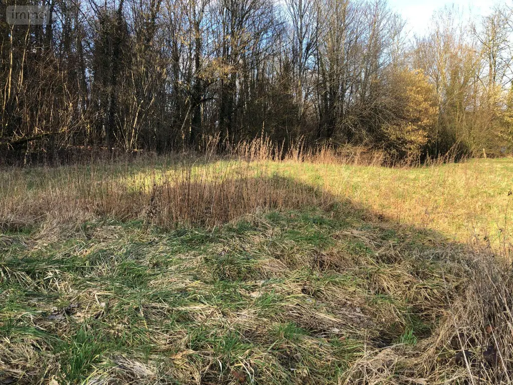 Terrain a batir a vendre Fains-Véel 55000 Meuse 55 1028 m2 33600 euros 55008/33 004