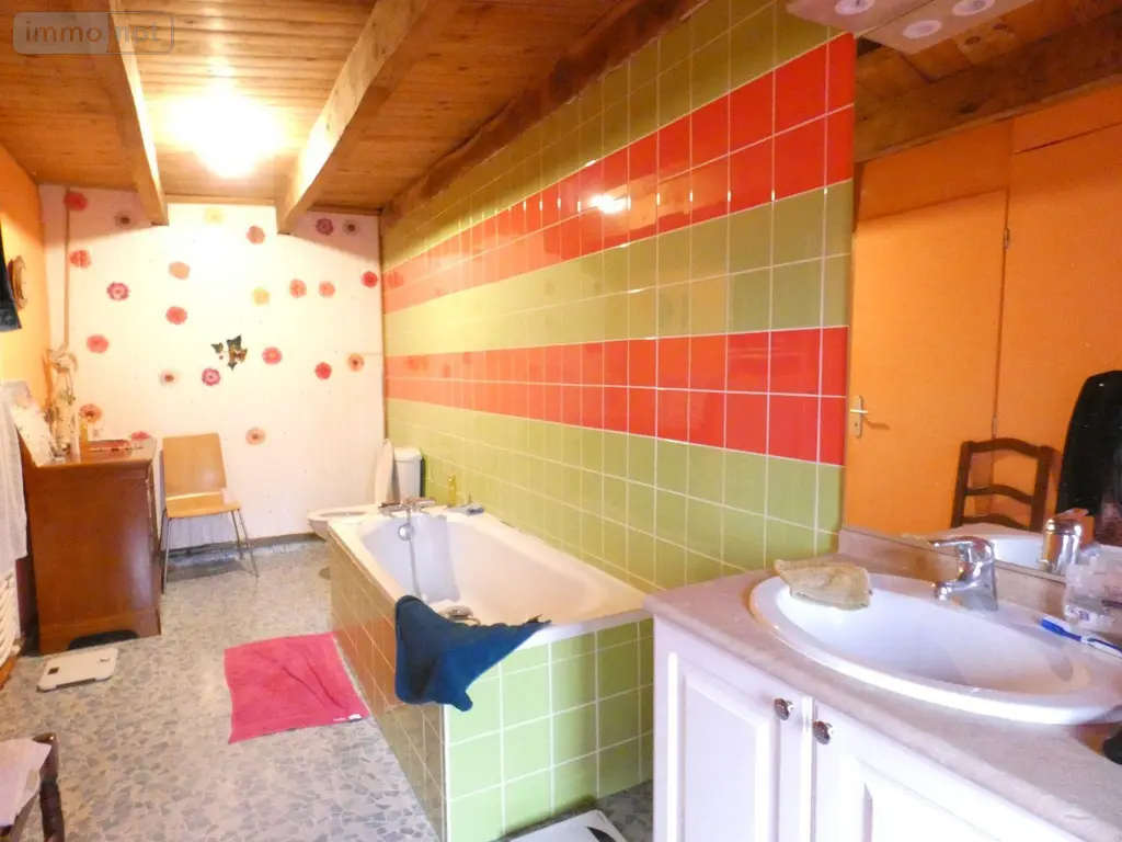 Maison a vendre Saint-Junien 87200 Haute-Vienne 87 138 m2 4 pièces 107892 euros 14757/171 005