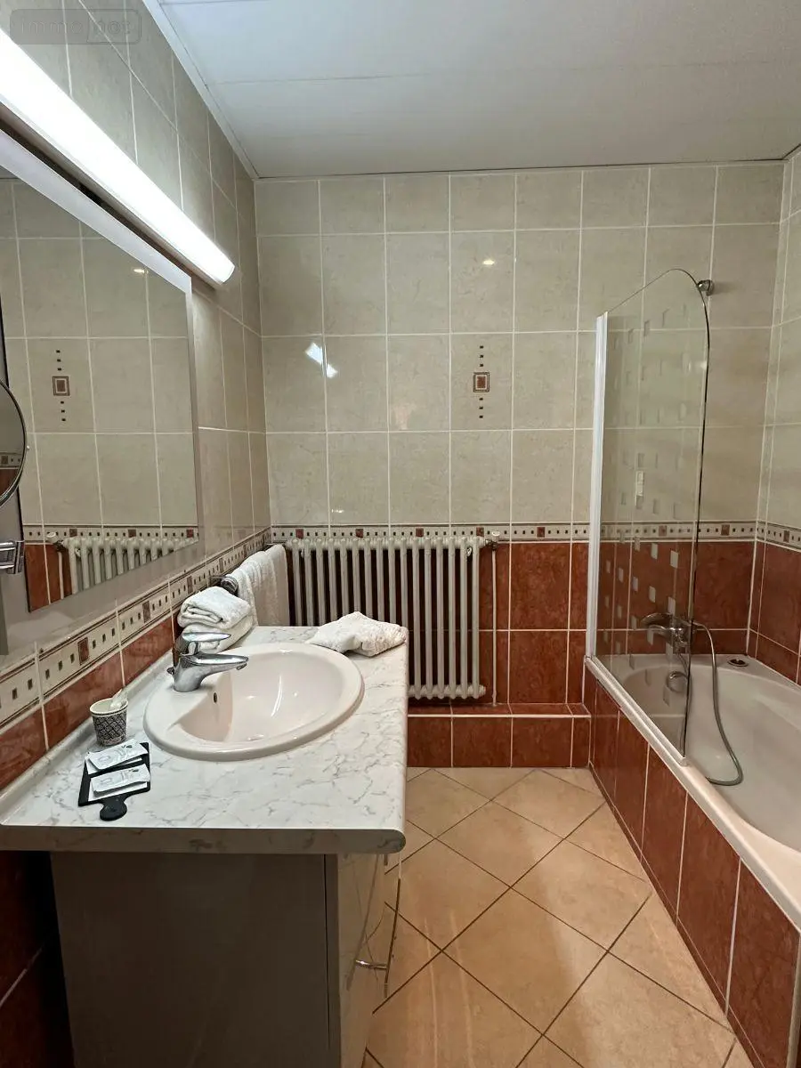 Fonds et murs commerciaux a vendre Montrichard Val de Cher 41400 Loir-et-Cher 41 1029 m2 37 pièces 834517 euros 12101/1262 011
