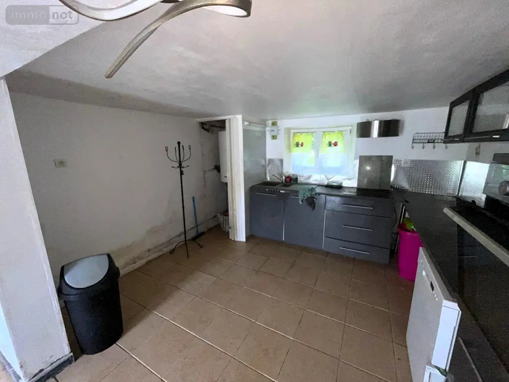 Maison a vendre Souppes-sur-Loing 77460 Seine-et-Marne 77 56 m2 3 pièces 105000 euros 127 019