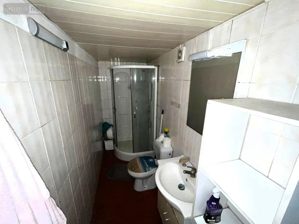 Maison a vendre Souppes-sur-Loing 77460 Seine-et-Marne 77 56 m2 3 pièces 105000 euros 127 024