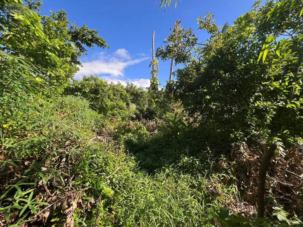 Maison a vendre Saint-André 97440 La Réunion 974 185 m2 5 pièces 743900 euros 97405/136 009