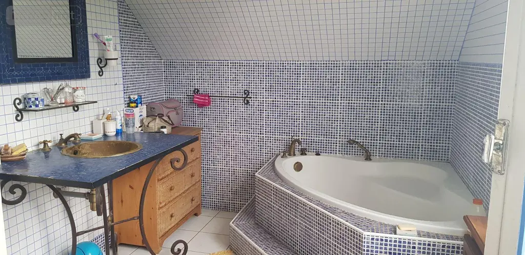 Maison a vendre Langon-sur-Cher 41320 Loir-et-Cher 41 278 m2 10 pièces 337280 euros 41036/3028 016