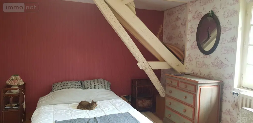 Maison a vendre Langon-sur-Cher 41320 Loir-et-Cher 41 278 m2 10 pièces 337280 euros 41036/3028 013