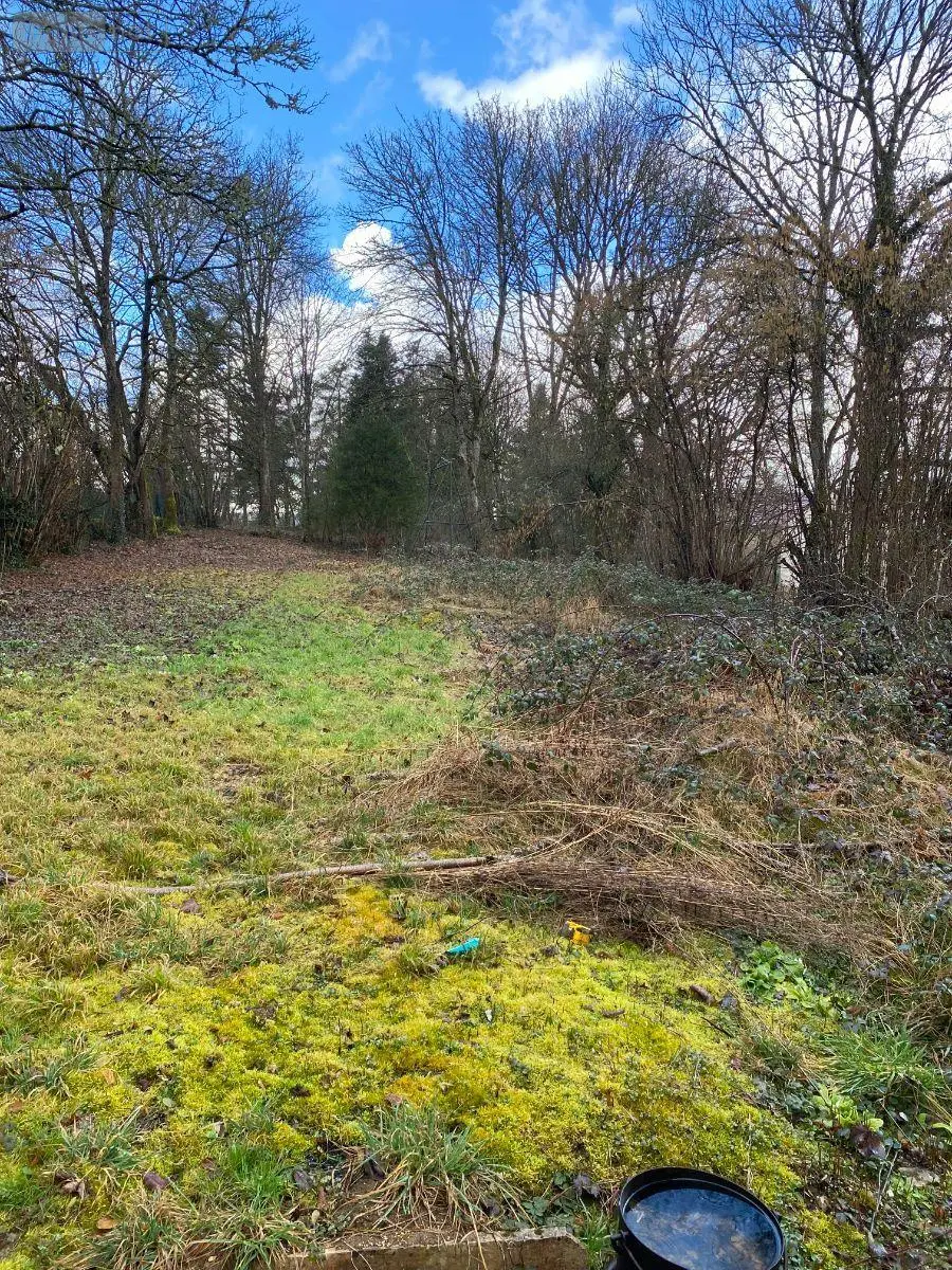Terrain a batir a vendre Sainte-Marie-sur-Ouche 21410 Côte-d'Or 21 1000 m2 105000 euros 1050515 002