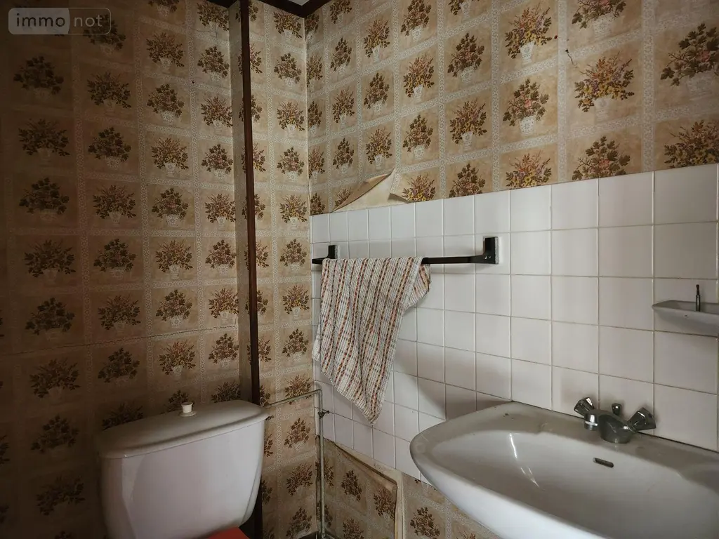 Immeuble de rapport a vendre Bar-sur-Aube 10200 Aube 10 191 m2 8 pièces 65000 euros 10379/579 016