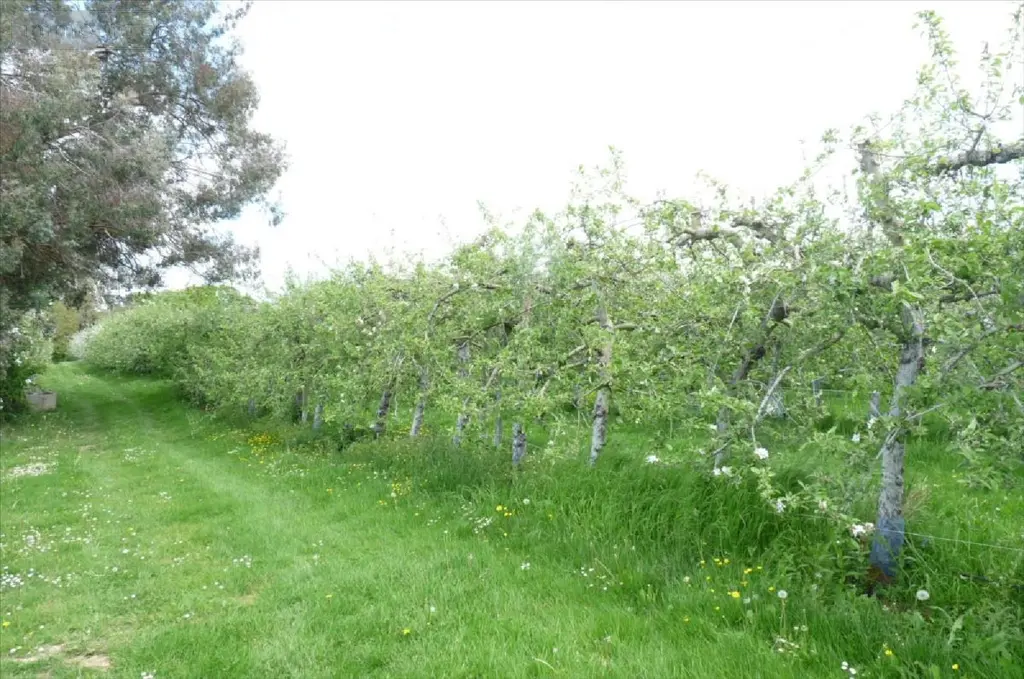Bien agricole a vendre Soucé 53300 Mayenne 53 624000 euros 53075-DLS22016 003
