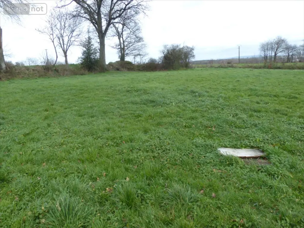Terrain a batir a vendre Contest 53100 Mayenne 53 48864 euros 53075-FC48A 003