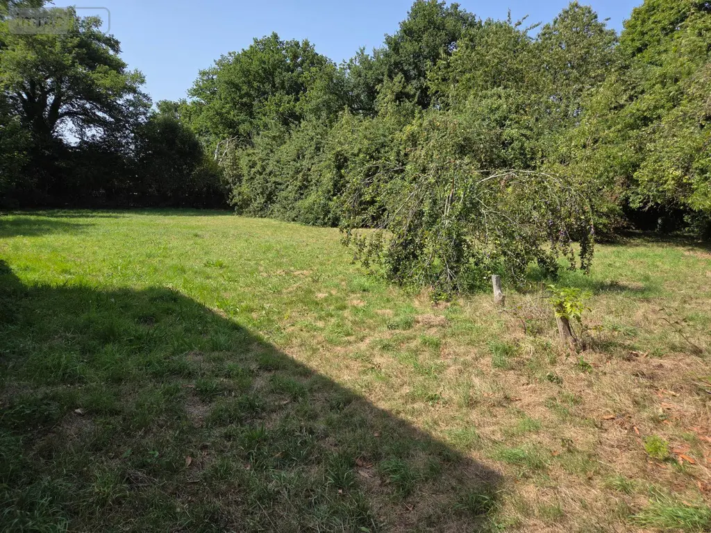 Terrain a batir a vendre Mayenne 53100 Mayenne 53 58000 euros 53075-FC 113 003