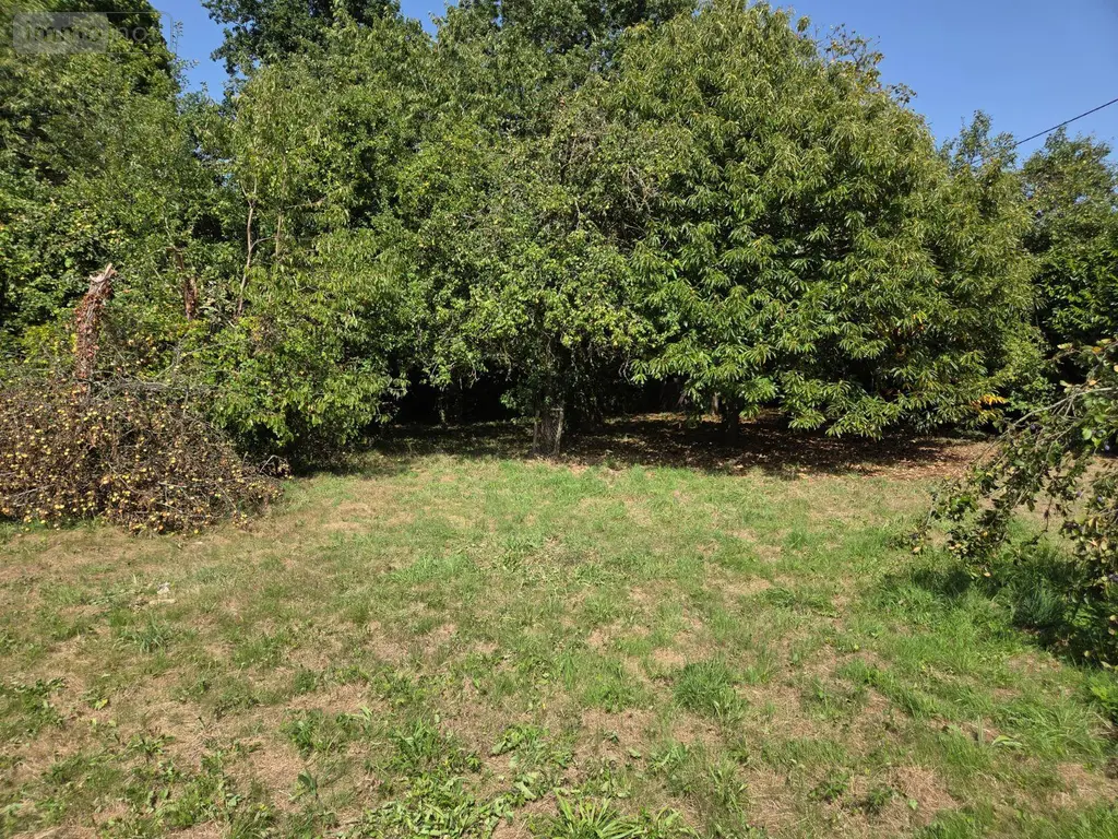 Terrain a batir a vendre Mayenne 53100 Mayenne 53 58000 euros 53075-FC 113 004