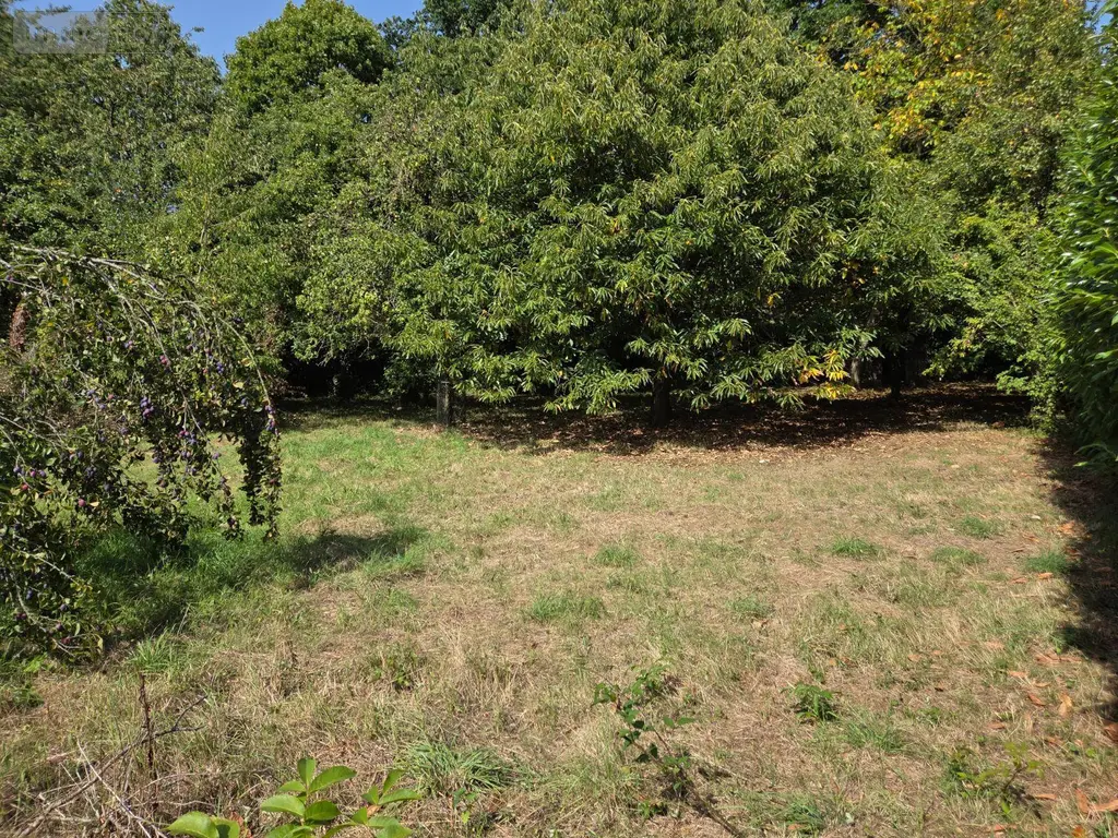 Terrain a batir a vendre Mayenne 53100 Mayenne 53 58000 euros 53075-FC 113 005