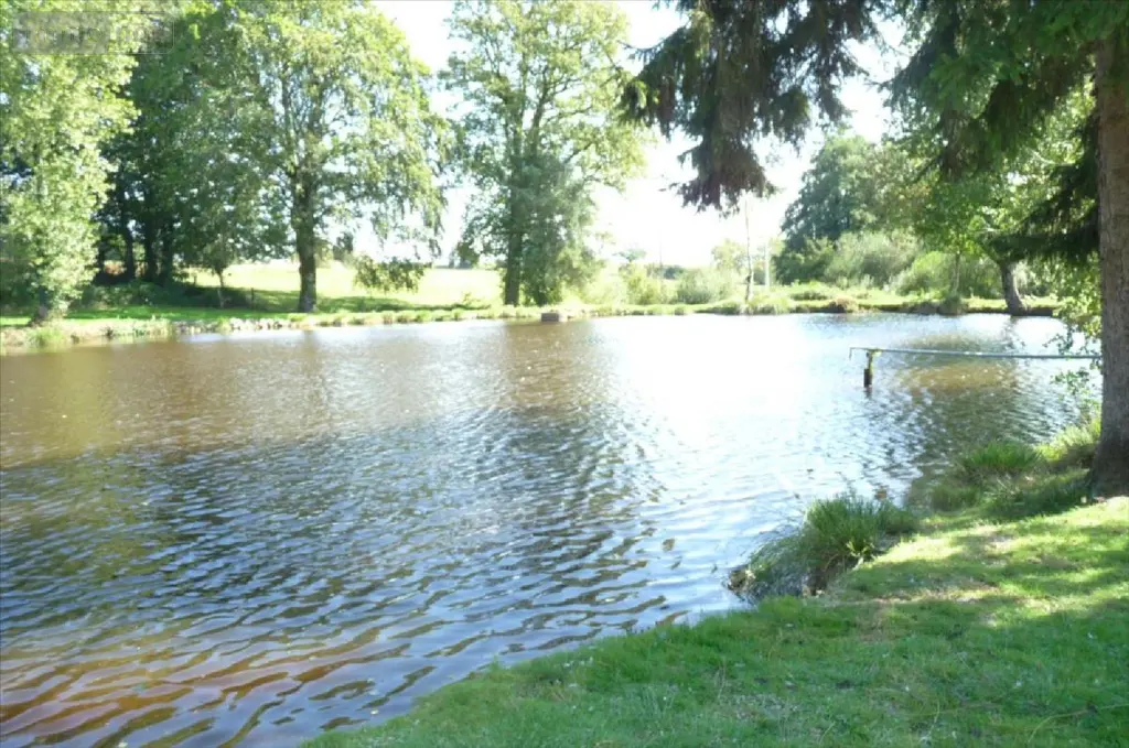 Terrains de loisirs bois etangs a vendre Vautorte 53500 Mayenne 53 84000 euros 53075-DLS57 002