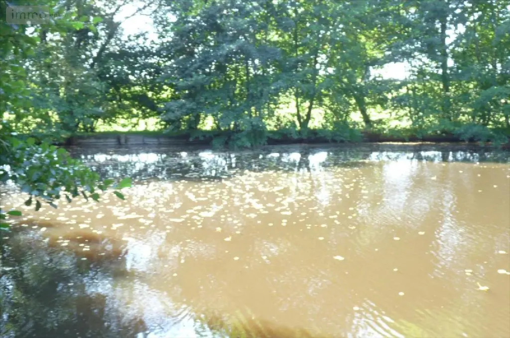 Terrains de loisirs bois etangs a vendre Vautorte 53500 Mayenne 53 84000 euros 53075-DLS57 004