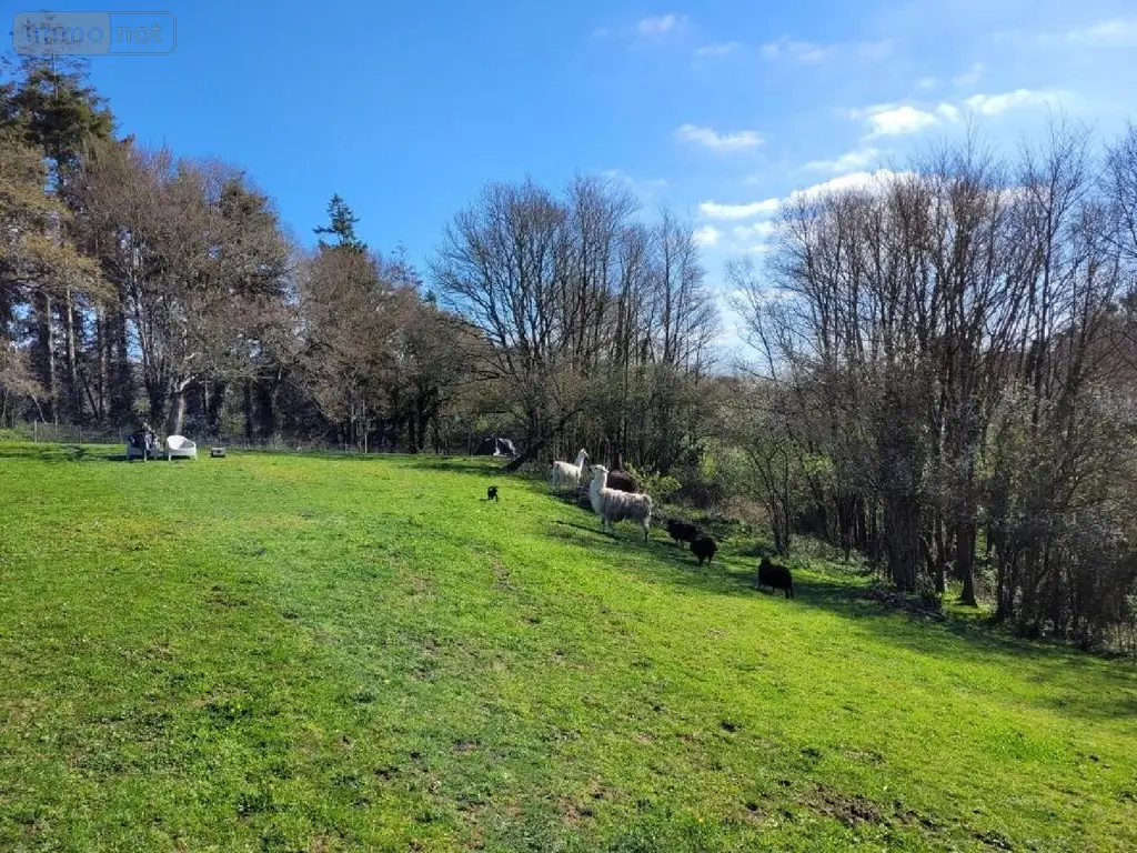 Maison a vendre Clohars-Carnoët 29360 Finistère 29 198 m2 10 pièces 752236 euros 29114-1073561 027