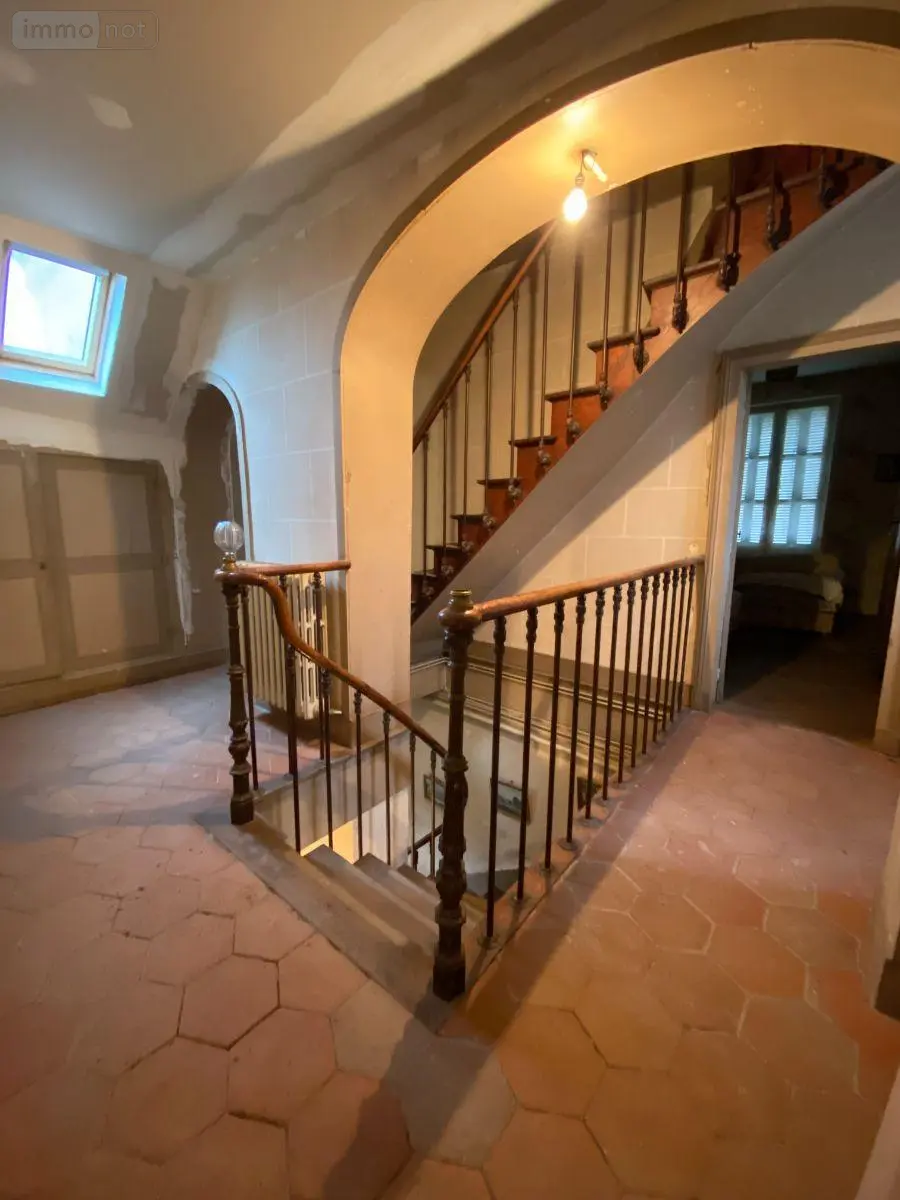 Maison a vendre Mézières-en-Brenne 36290 Indre 36 245 m2 11 pièces 355000 euros 1050568 009