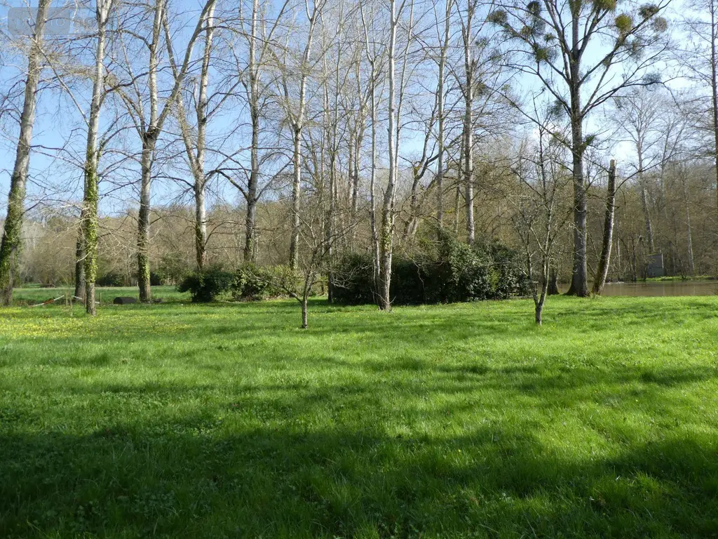 Terrains de loisirs bois etangs a vendre Courçay 37310 Indre-et-Loire 37 15900 euros 11893/483 002