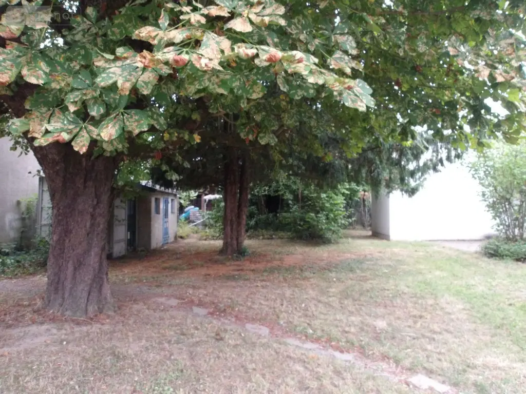 Immeuble de rapport a vendre Boussac 23600 Creuse 23 104 m2 5 pièces 75460 euros 23010-112668 018