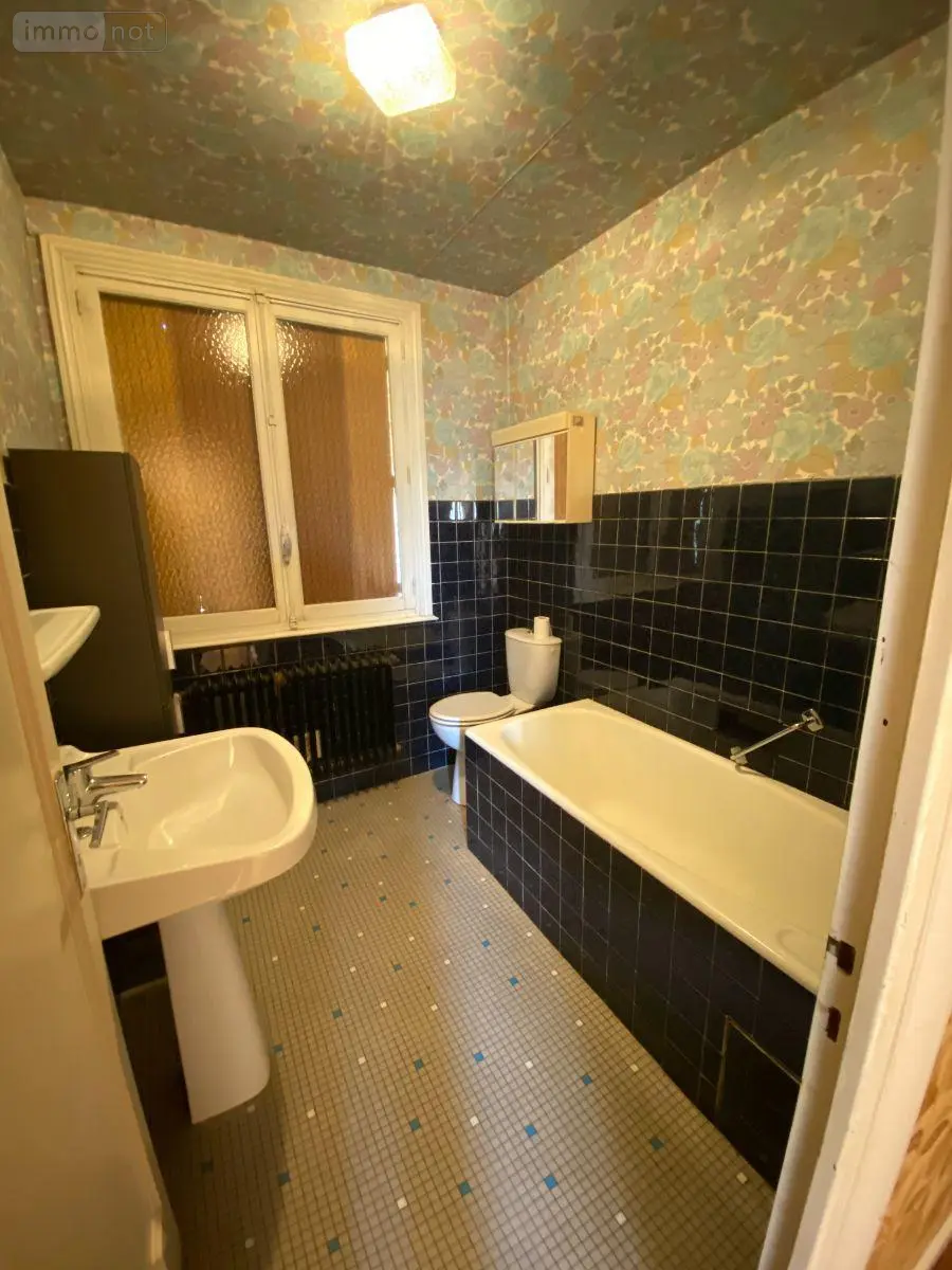 Maison a vendre Pleaux 15700 Cantal 15 93 m2 4 pièces 66780 euros 15060/1200 013