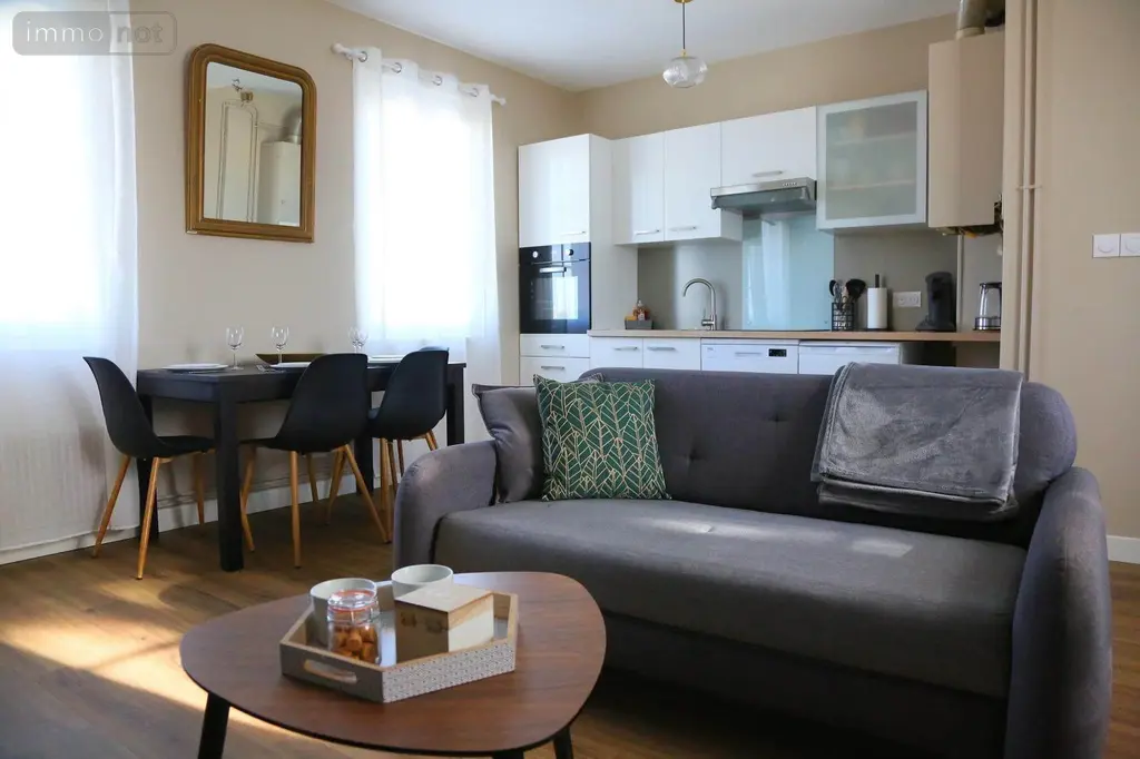 Appartement a vendre Amboise 37400 Indre-et-Loire 37 64 m2 3 pièces 164333 euros 12101/1275 001