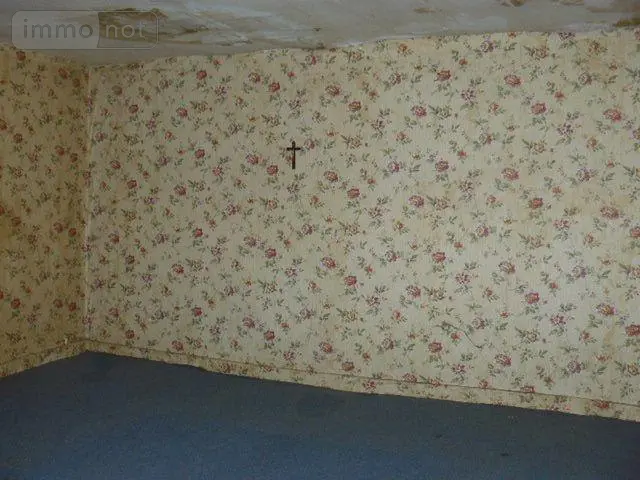 Maison a vendre Saint-Ouen-lès-Parey 88140 Vosges 88 80 m2 4 pièces 17000 euros 88012-2218 006