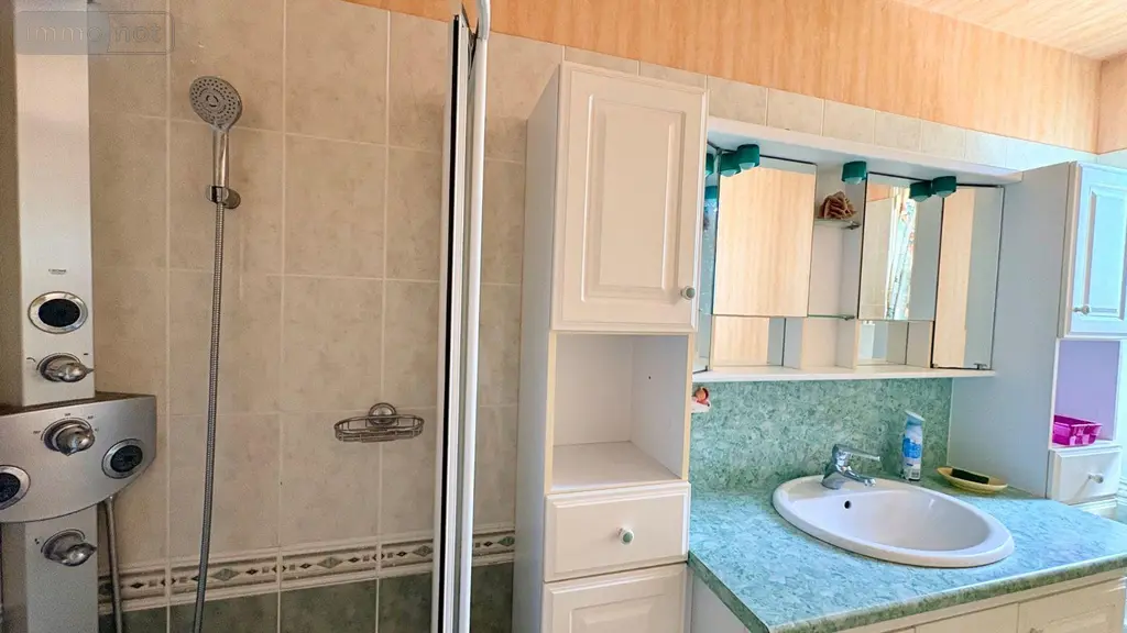 Maison a vendre Salbris 41300 Loir-et-Cher 41 106 m2 5 pièces 126480 euros 044/2010 006