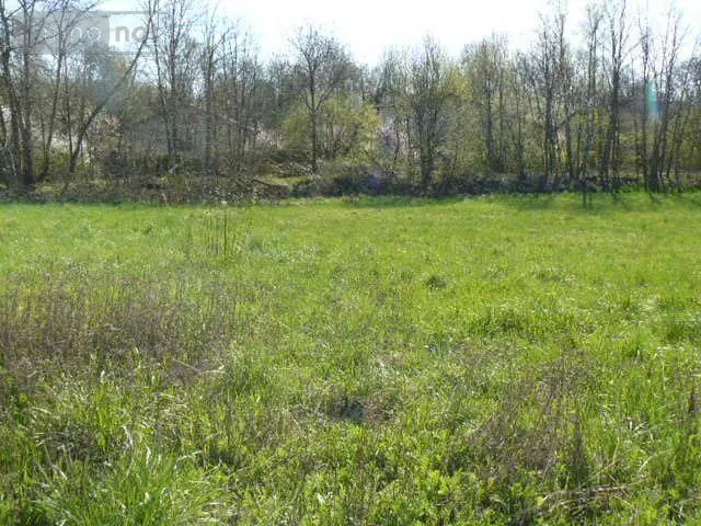 Terrain a batir a vendre Rambervillers 88700 Vosges 88 49000 euros 2225 003
