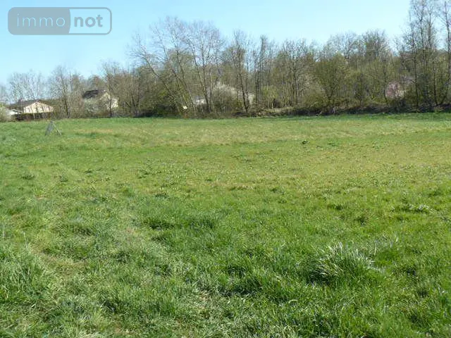 Terrain a batir a vendre Rambervillers 88700 Vosges 88 49000 euros 2225 004
