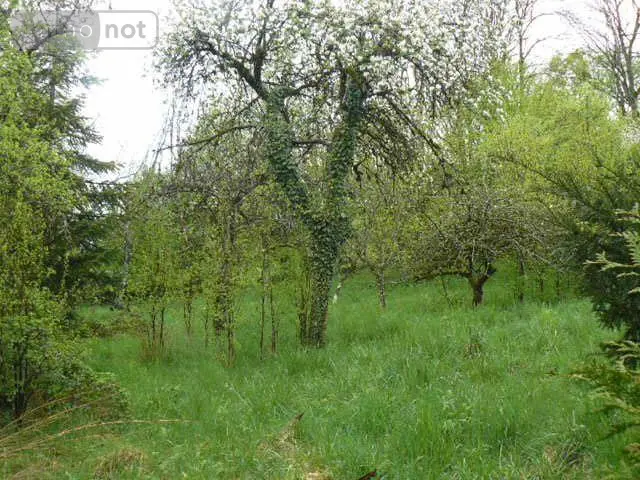 Maison a vendre Isches 88320 Vosges 88 94 m2 5 pièces 28000 euros 2228 015