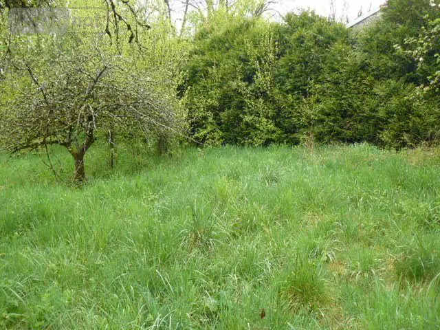 Maison a vendre Isches 88320 Vosges 88 94 m2 5 pièces 28000 euros 2228 016