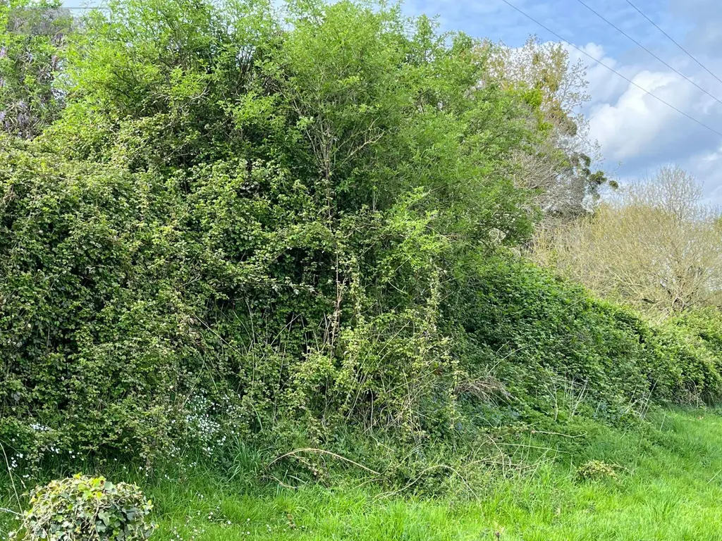 Terrains de loisirs bois etangs a vendre Saint-Senier-de-Beuvron 50240 Manche 50 6300 euros 12541/2174 002