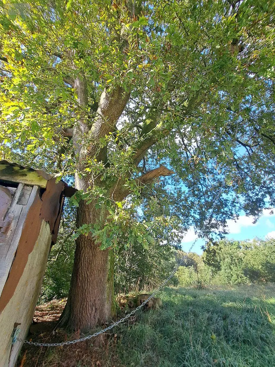 Propriete a vendre Querrien 29310 Finistère 29 110 m2 5 pièces 441575 euros 29114-19 024