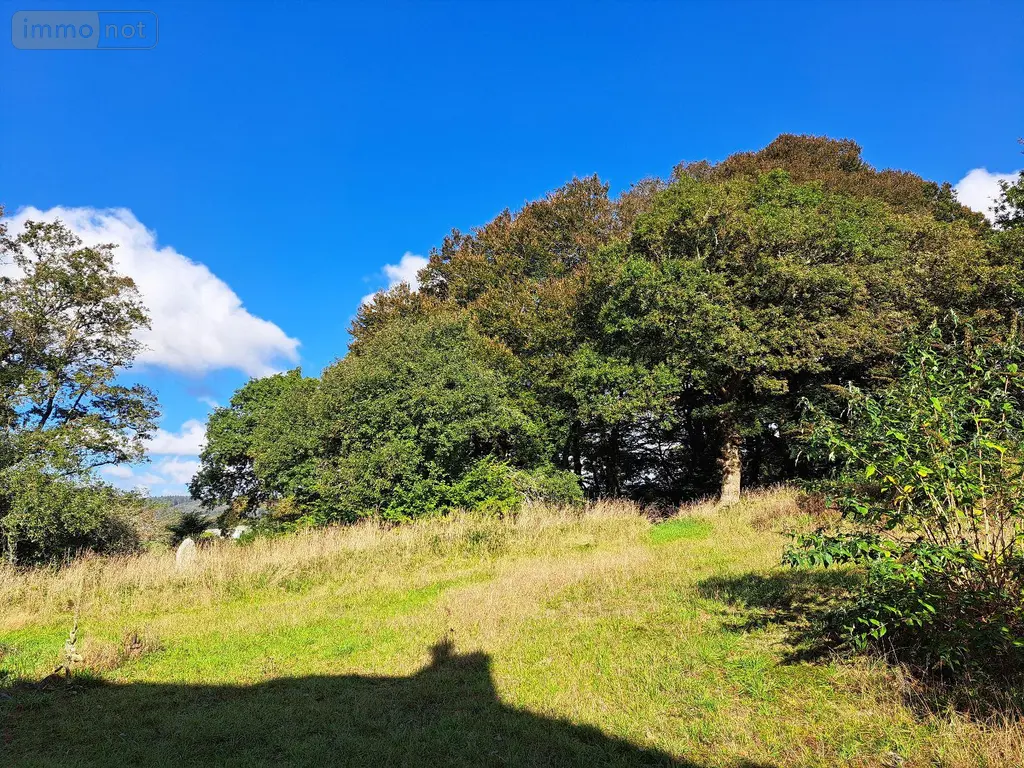 Propriete a vendre Querrien 29310 Finistère 29 110 m2 5 pièces 441575 euros 29114-19 026