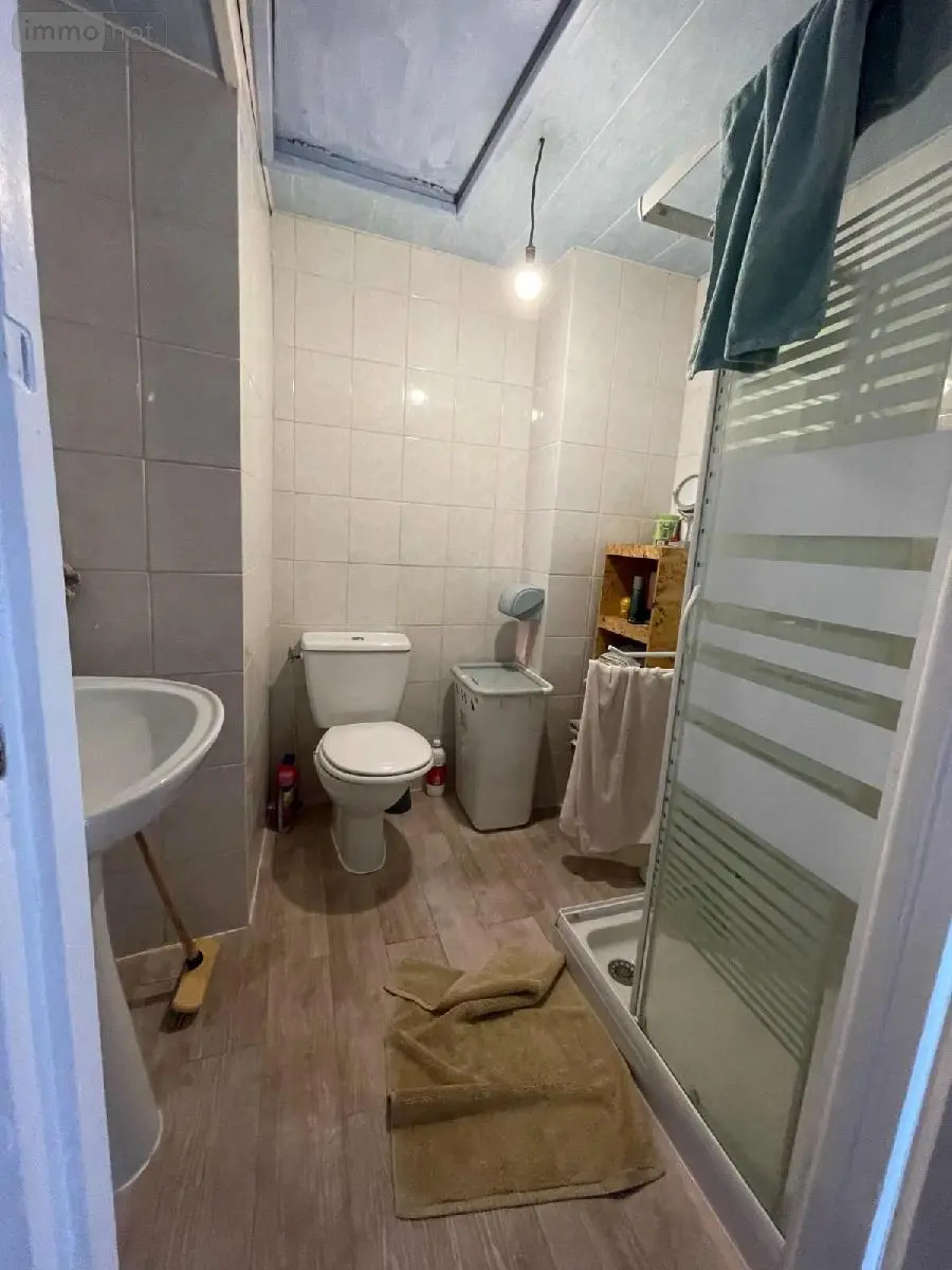 Maison a vendre Saint-Julien-du-Sault 89330 Yonne 89 130 m2 2 pièces 106500 euros 2200024 013