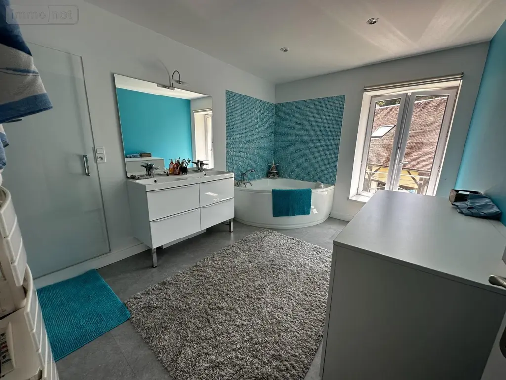 Maison a vendre Cézy 89410 Yonne 89 313 m2 9 pièces 349000 euros 2300017 022