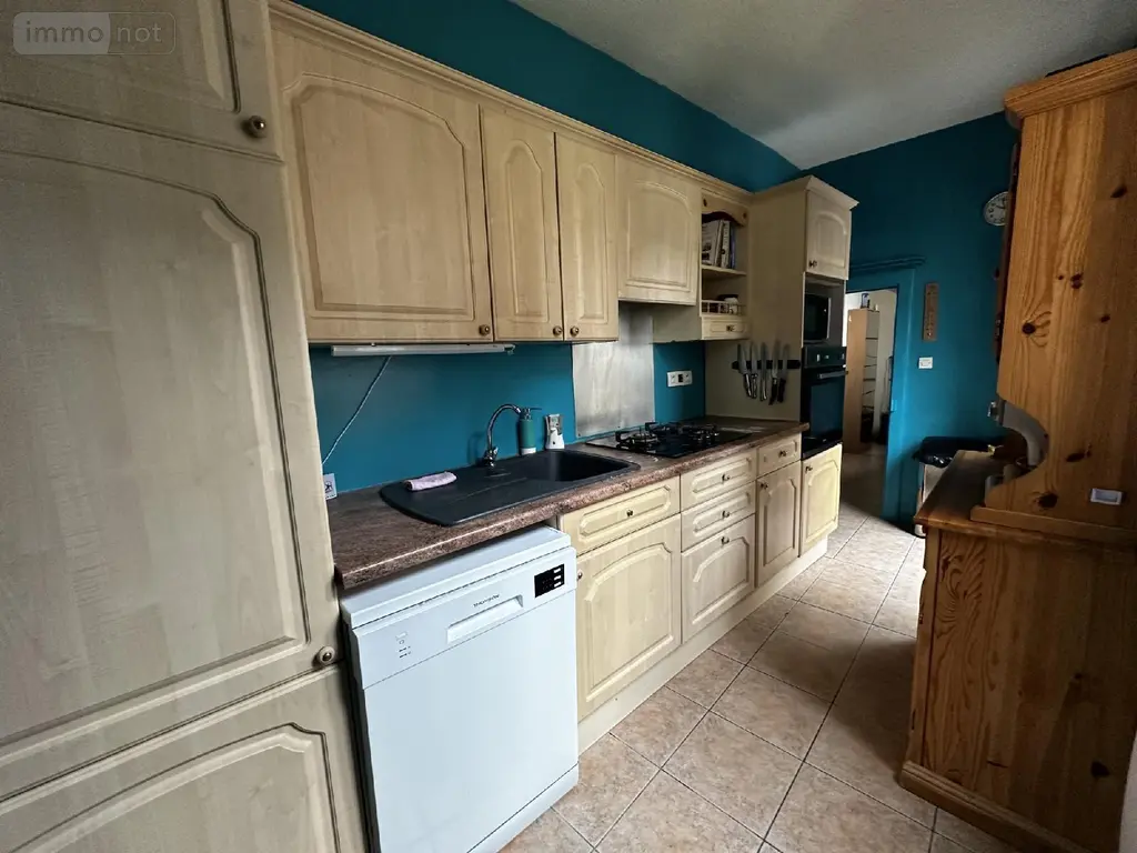 Maison a vendre Saint-Julien-du-Sault 89330 Yonne 89 115 m2 4 pièces 125000 euros 240008 006