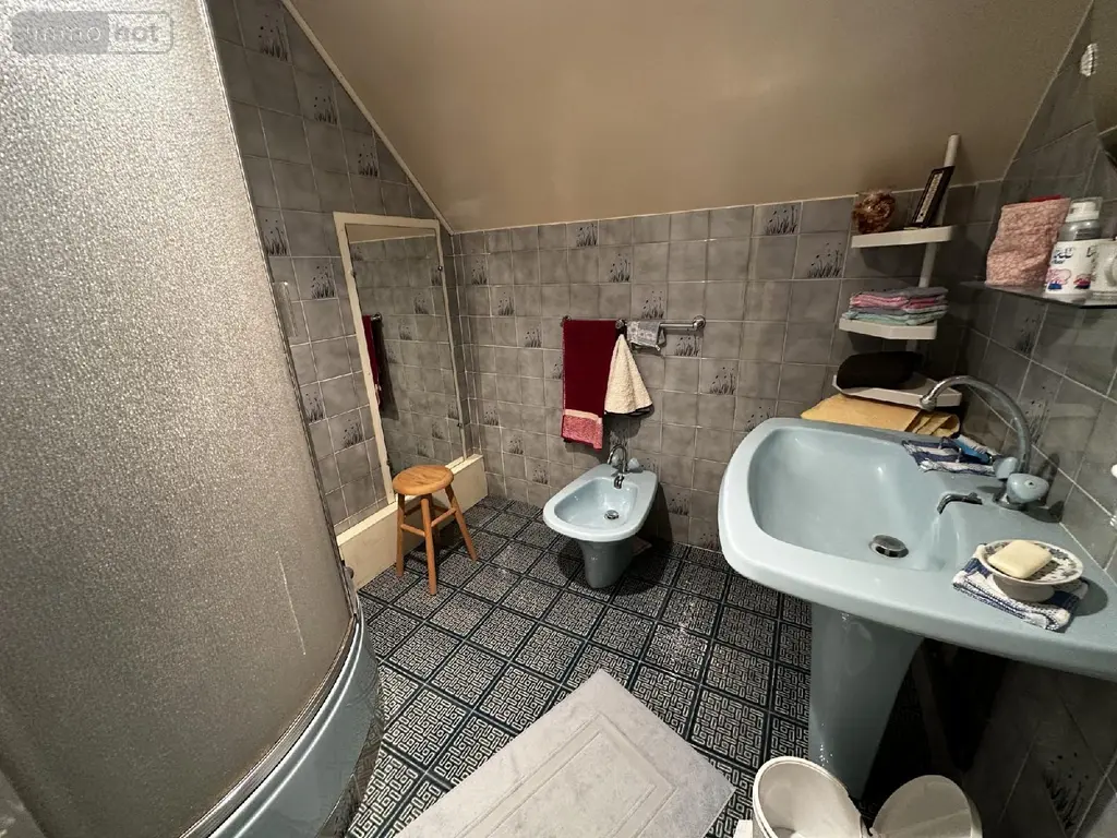 Maison a vendre Saint-Julien-du-Sault 89330 Yonne 89 165 m2 7 pièces 199000 euros 2026-1 018