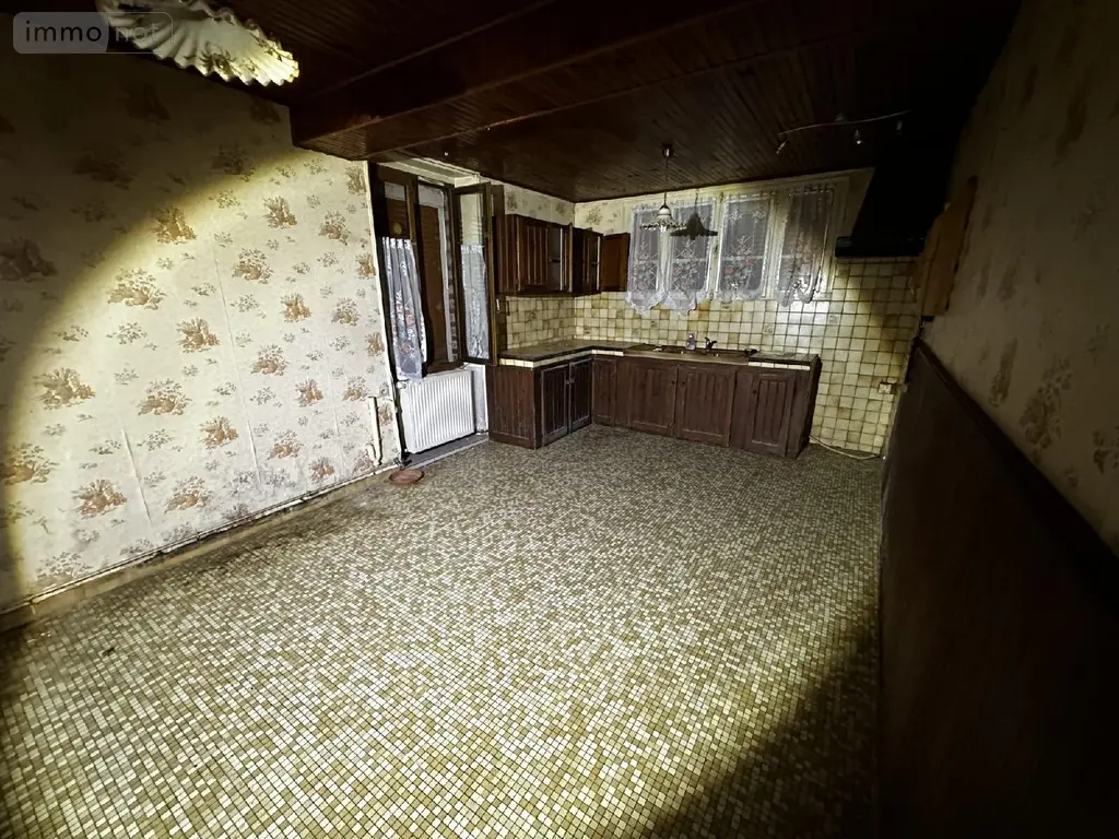 Maison a vendre La Celle-Saint-Cyr 89116 Yonne 89 290 m2 14 pièces 188000 euros 2400048 010
