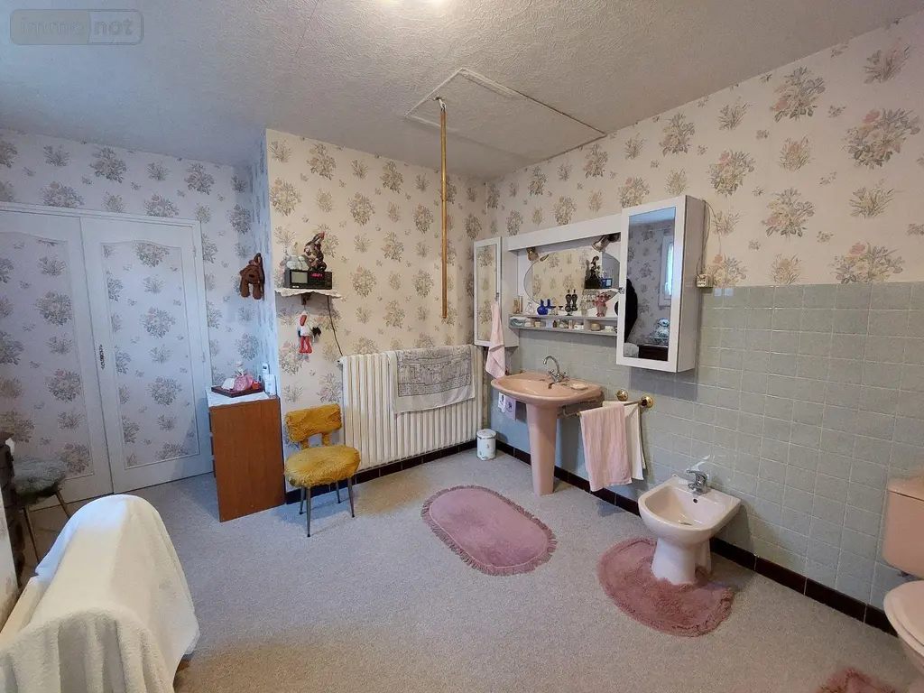 Viager maison Le Bugue 24260 Dordogne 24 114 m2 6 pièces 50000 euros 18113/108 010