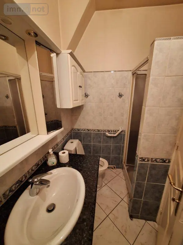 Maison a vendre Troyes 10000 Aube 10 120 m2 5 pièces 163000 euros 10378/1253 007
