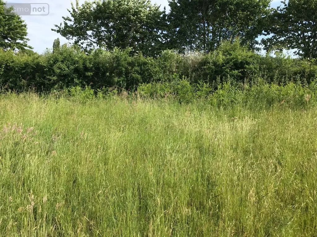 Terrain a batir a vendre Briosne-lès-Sables 72110 Sarthe 72 34866 euros 079/1968 002