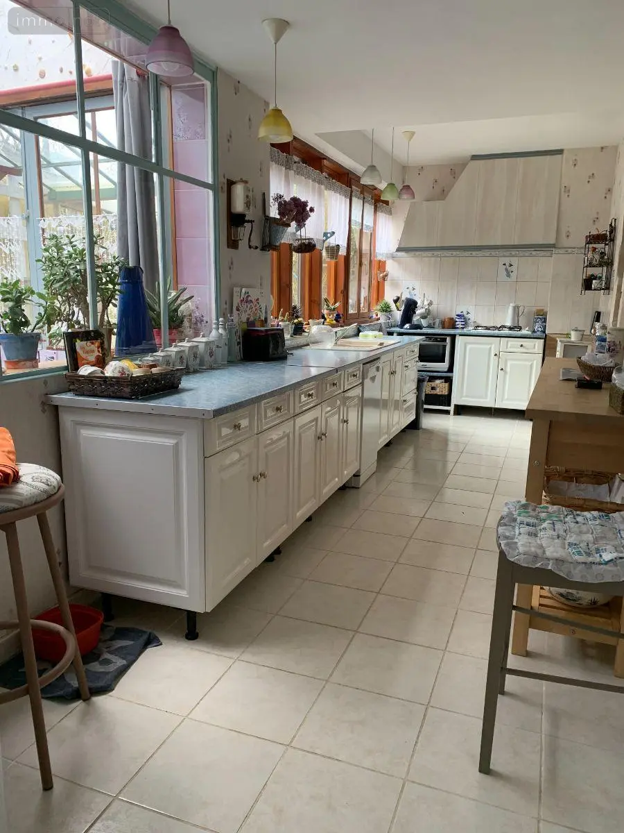 Maison a vendre Châtillon-sur-Indre 36700 Indre 36 175 m2 5 pièces 199900 euros 1049093 003