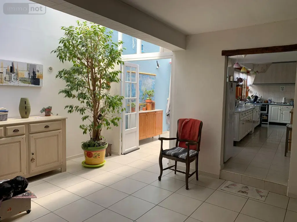 Maison a vendre Châtillon-sur-Indre 36700 Indre 36 175 m2 5 pièces 199900 euros 1049093 008
