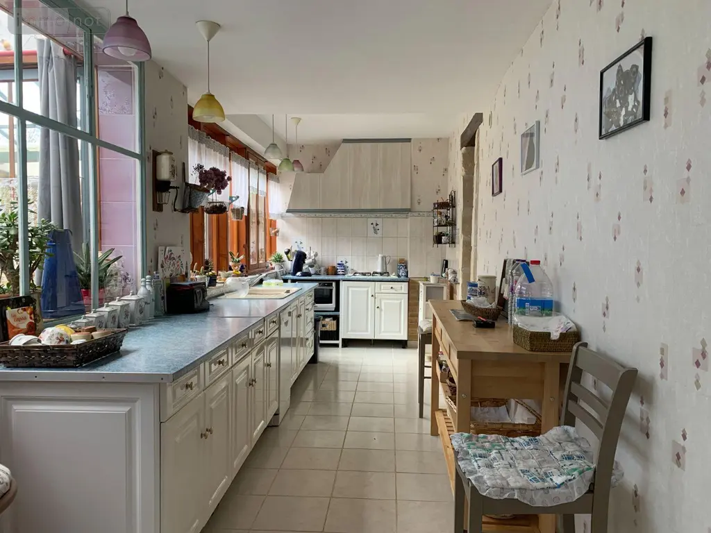 Maison a vendre Châtillon-sur-Indre 36700 Indre 36 175 m2 5 pièces 199900 euros 1049093 009
