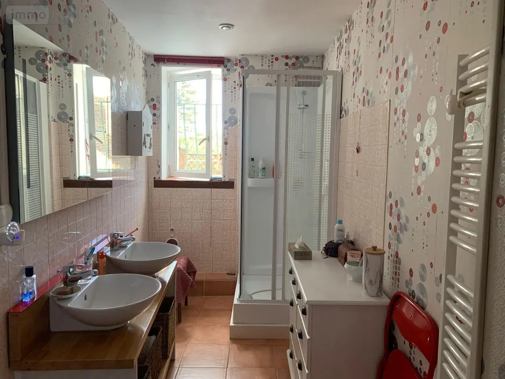 Maison a vendre Châtillon-sur-Indre 36700 Indre 36 175 m2 5 pièces 199900 euros 1049093 012